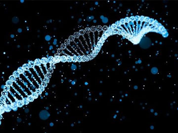 genetic variables that affect fat loss rocks fitness guru